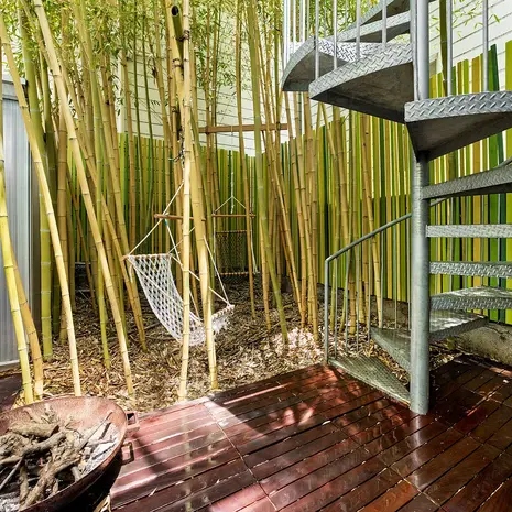 Metal spiral staircase surrounded by bamboo at renovated Mission District residence