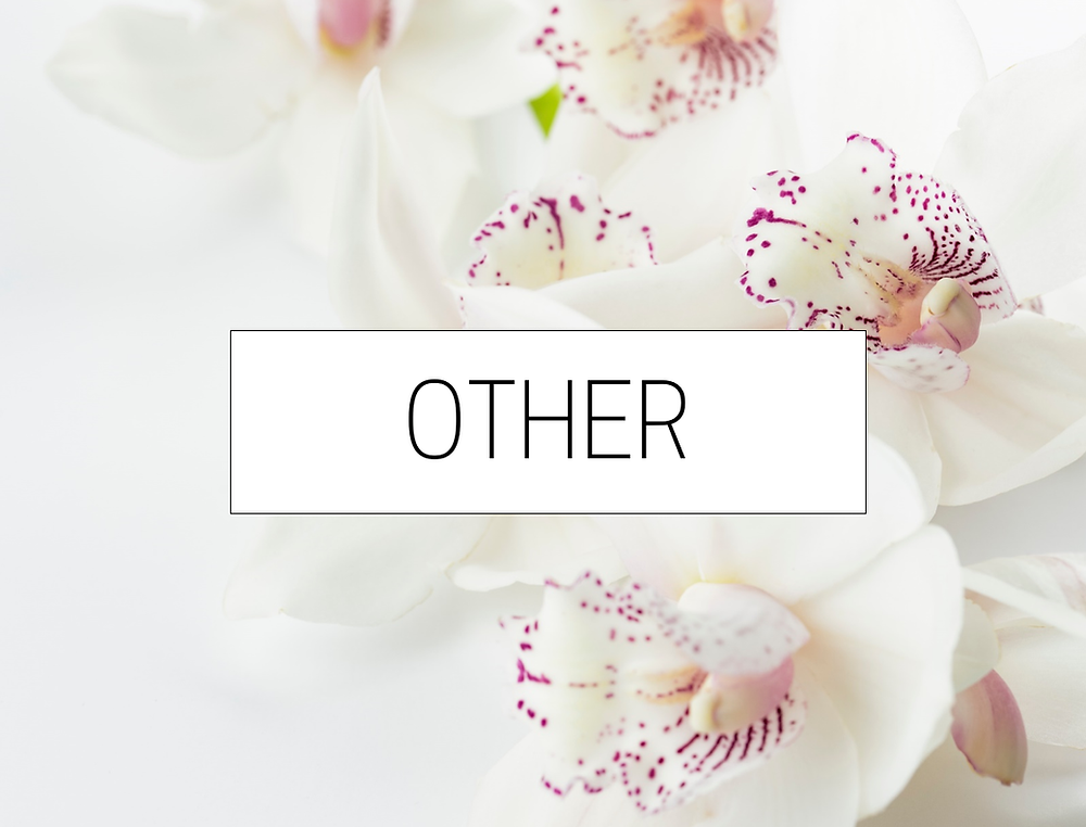 Beauty Services in Taipei | A Style Alike