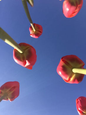 Do you Need a New Perspective?