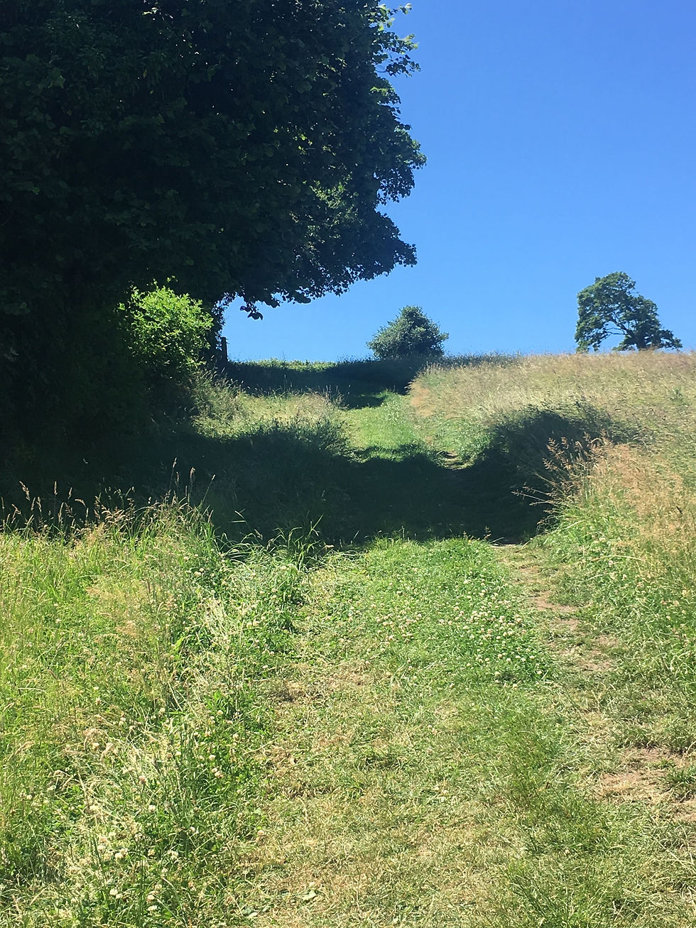 Footpath at it's steepest Hennock Hideaways