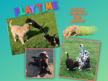 Play Time