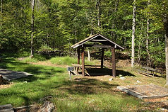 bobcat - shelter
