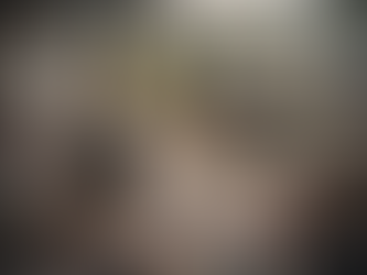 A New Model of Care Emerging from Kita-Yoshima, Fukushima