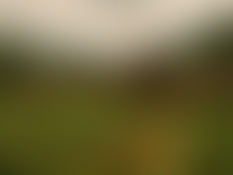 中国的社会保障制度与日本完全不同