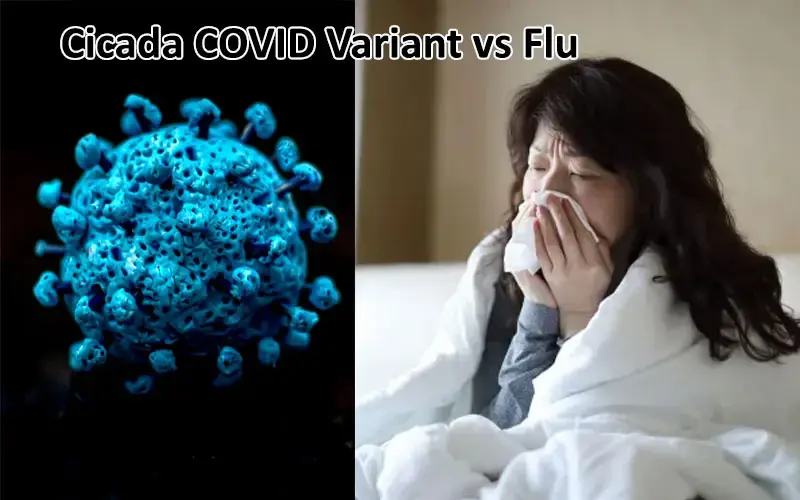 Cicada COVID Variant vs Flu