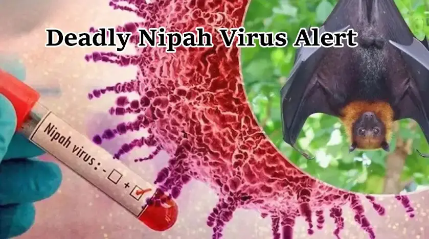 Deadly Nipah Virus Alert