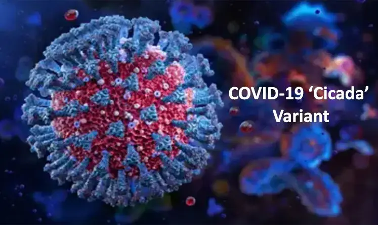 A Complete Guide to COVID-19 ‘Cicada’ Variant