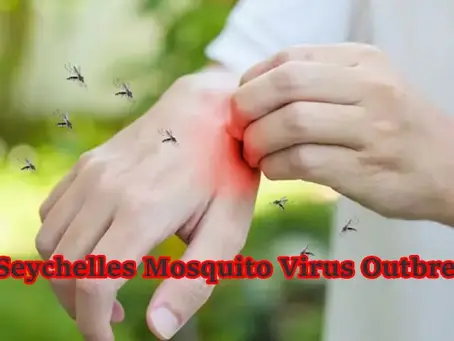 Seychelles Mosquito Virus Outbreak