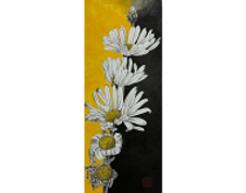 Little daisy life cycle