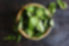 ほうれん草