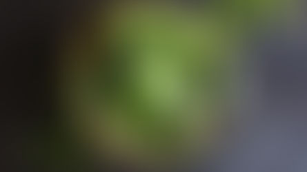 Sałatka ze szpinakiem i truskawkami.