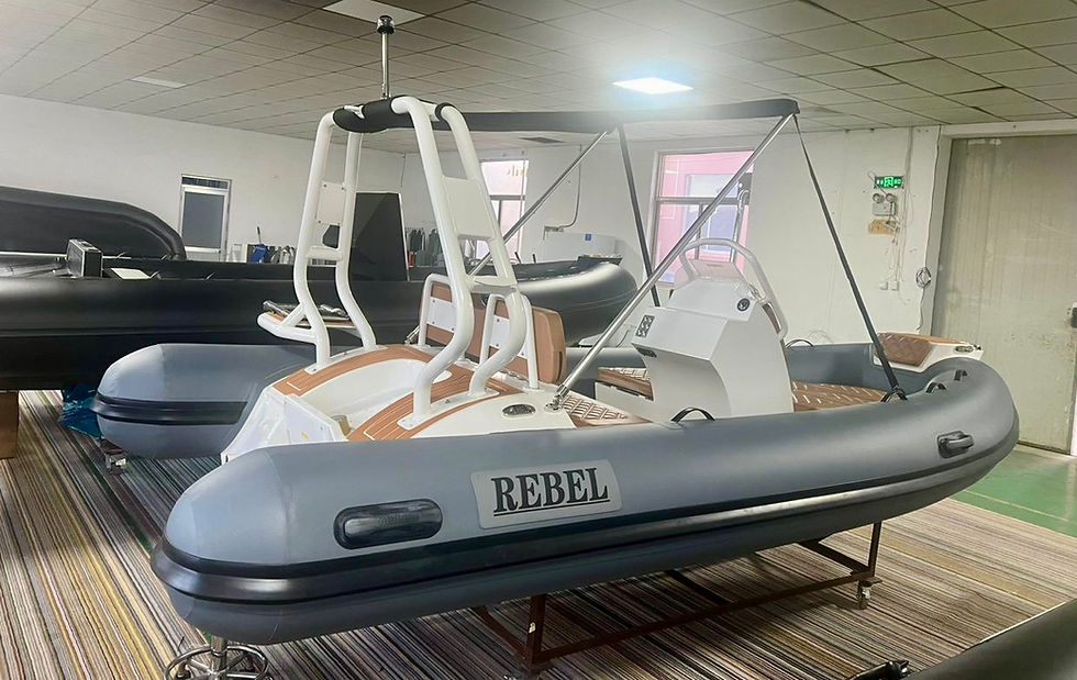 riot 420 bimini top.jpeg