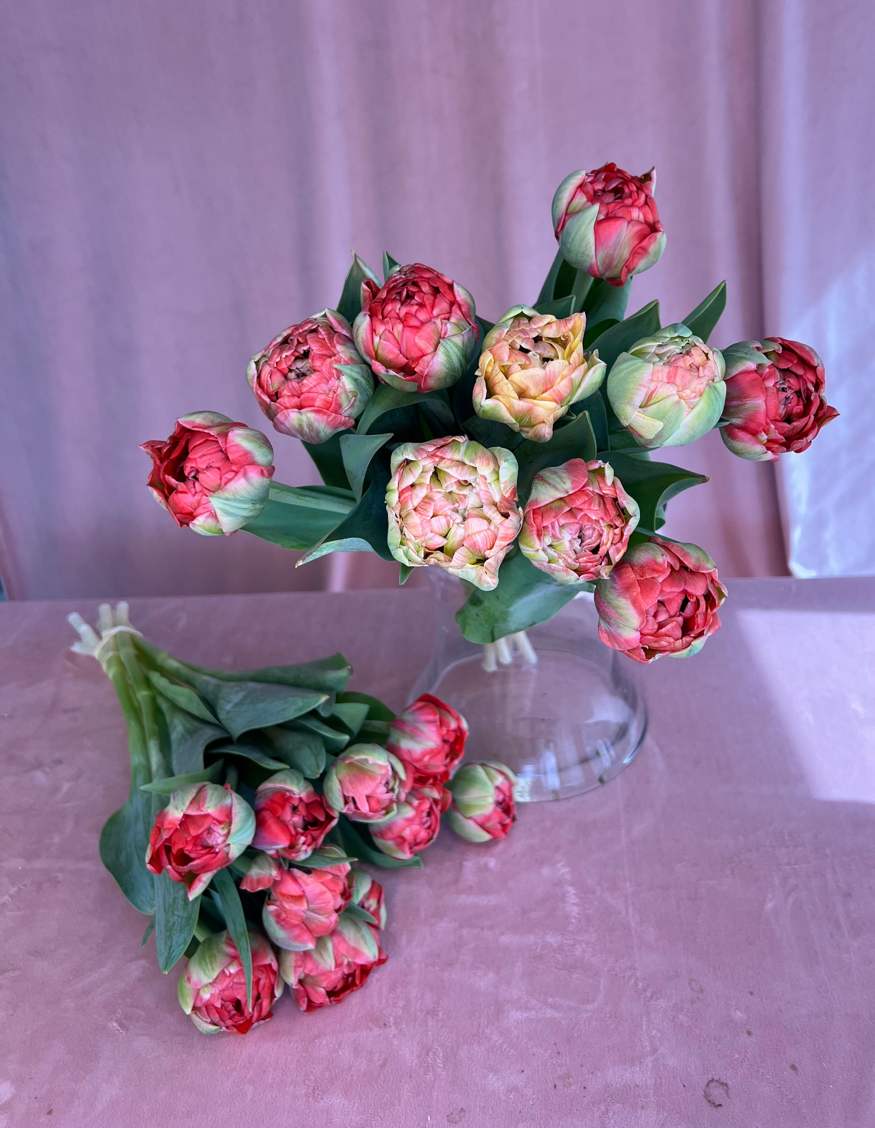 Tulip Bouquet - Gudoshnik Double