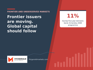 Frontier Markets Are Raising Capital at Home. Imagine What Global Investors Could Add