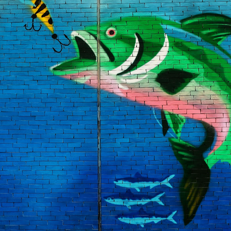 Phishing: What It Is and How to Avoid Getting Hooked