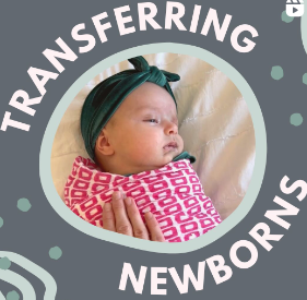 Instagram Reel for transferring newborn |The Peaceful Sleeper