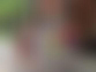 7 Reasons I’d Choose Great Wolf Lodge Over Disneyland Any Day