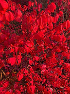 IMG_0002 (2) (1) (2).HEIC