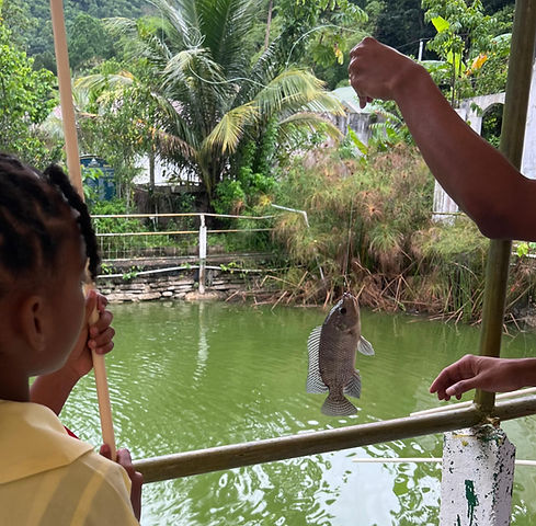Fishing at Agua Viva Eco-Life_edited.jpg