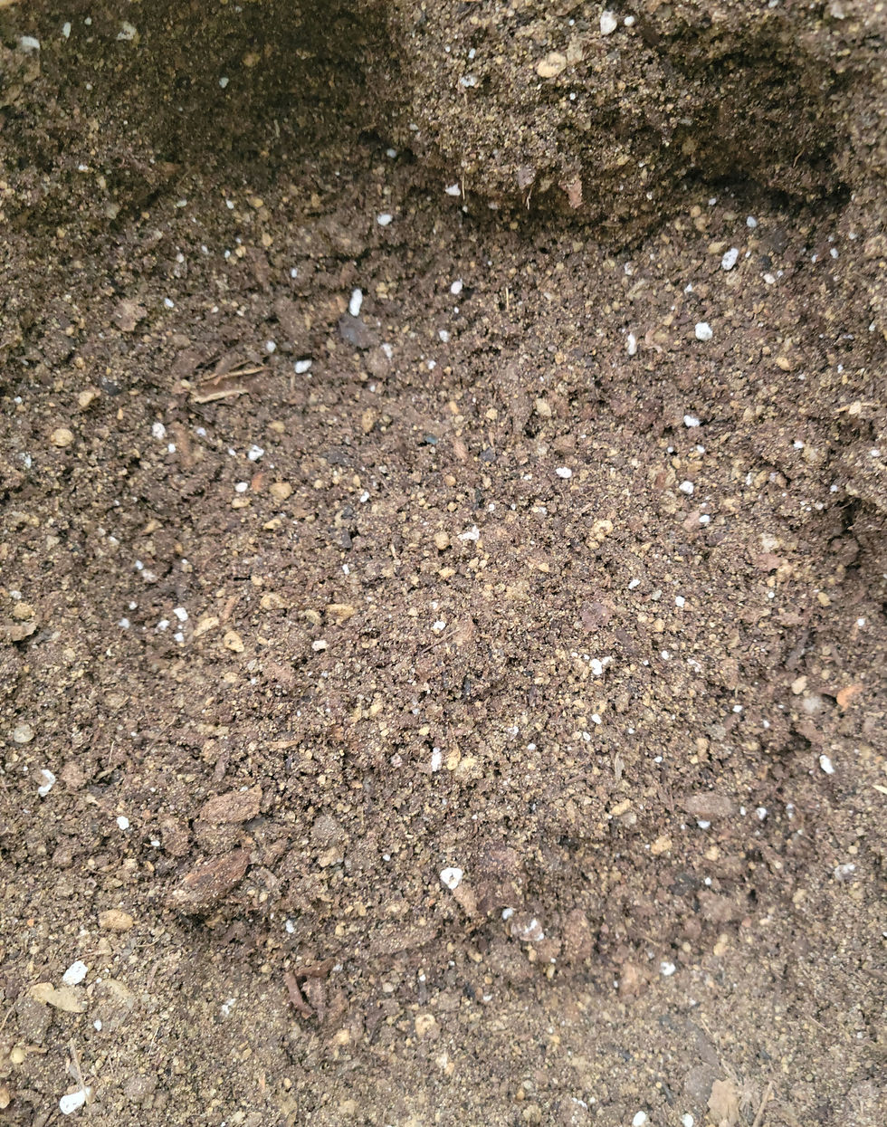 Thumbnail: Living Soil Mix