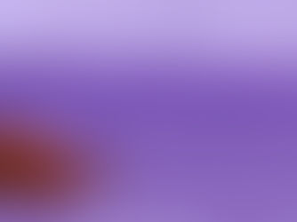 Rose of Saffron Festival - Spain