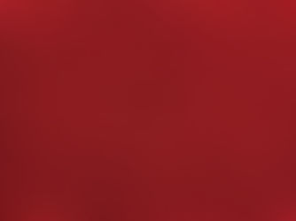 Spice Hunting: What's The Deal With Saffron?