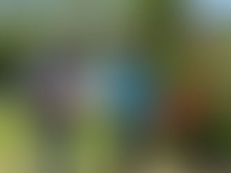 Donaciones llenas de esperanza