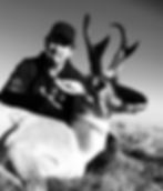 Antelope