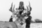 Whitetail