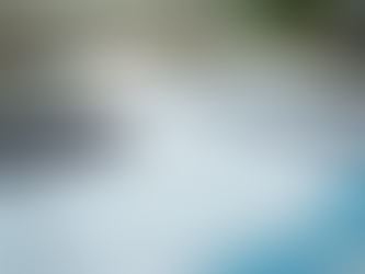 Mastering Finance and Budgeting Strategies for Business Success In the County of Simcoe