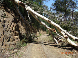 Closure of Belowra Road