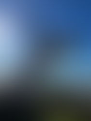 Prize-winning whale sculpture destined for Tuross lake foreshore