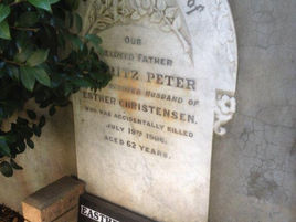 Presentation to Council: Trish Hellier Feb 26th 2019