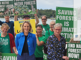 Greens Announce Plan To End Native Forest Logging In NSW