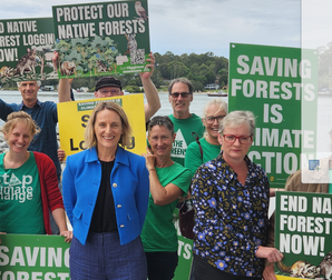 Greens Announce Plan To End Native Forest Logging In NSW