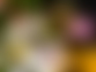 Narooma Camera Club March 2021 news