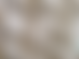 Marilyn Raynsford exhibition at Soart Gallery Narooma - Dec 1 to 6