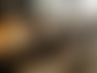 Favel Parrett delights readers at The Waterfront Hotel