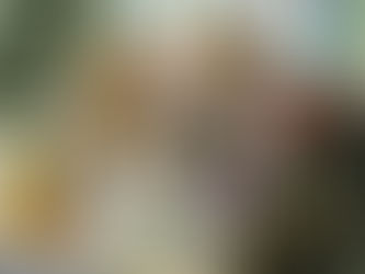 A New Name For A New Dawn : Logo contest