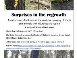 Surprises in the re-growth at Eurobodalla Regional Botanic Gardens on 20th August