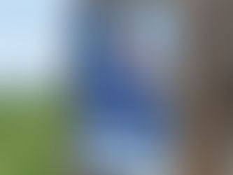 How not to win votes: nail your poster to a tree on community land