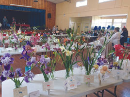 Bega Council’s Community Grants Program opens