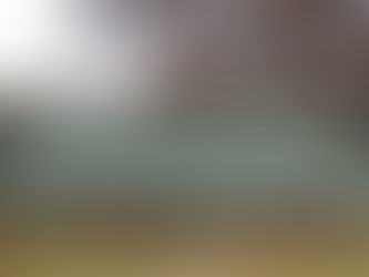 South Coast/Monaro team vs Southern Inland Rugby for the Brumbies Provincial Trophy this weekend