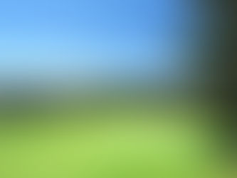 Tuross Head Ladies Golf - 12th May