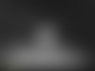 Corunna Residents photograph rare Masked Owl, just ahead of loggers