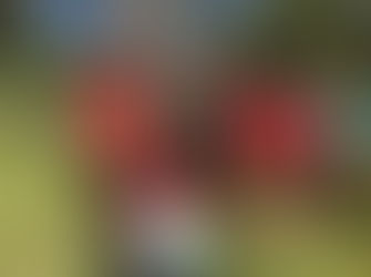 Broulee Runners Wednesday 21st 2022