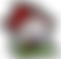 Making Life Fairer For First Home Buyers In Our Region