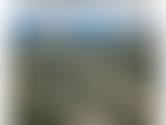 Positive signs for Eurobodalla’s economy