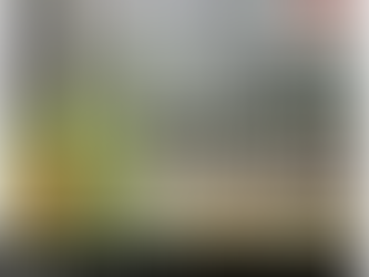 Mogo Community invite to have their say