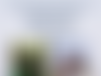 Karen Viggers Literary Lunch Mar 19th